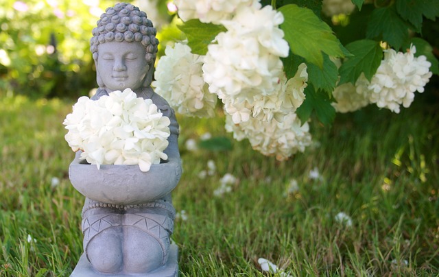 buddha-fleur tarif et informations pratiques cabinet de naturopathie réflexologie massage drainage lymphatique