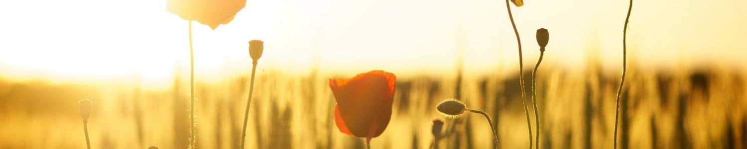 naturopathe massage angers naturopathie, massage, réflexologie